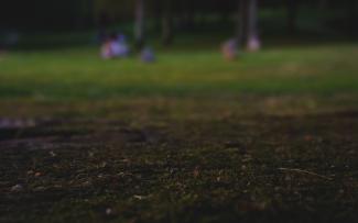 Imagen artística desenfocada. Primer plano de césped con fondo personas sentadas.